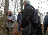 woods_walk_1.JPG